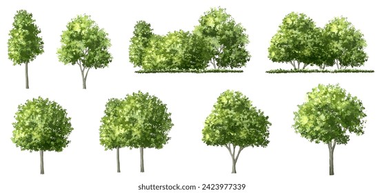 Vector acuarela verde árbol o vista lateral del bosque aislado en fondo blanco para el dibujo de paisaje y arquitectura, elementos para el medio ambiente o jardín, elemento botánico para la sección exterior en primavera