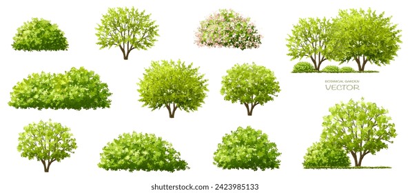 Vector watercolor green tree or forest side view isolated on white background for landscape and architecture drawing,elements for environment or garden,botanical element for exterior section in spring