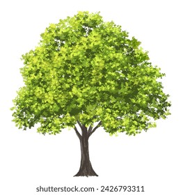 Vector watercolor green tree or forest side view isolated on white background for landscape and architecture drawing,elements for environment or garden,botanical element for exterior section in spring