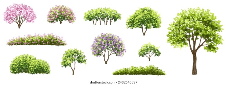 Vector watercolor green tree or forest side view isolated on white background for landscape and architecture drawing,elements for environment or garden,botanical element for exterior section in spring