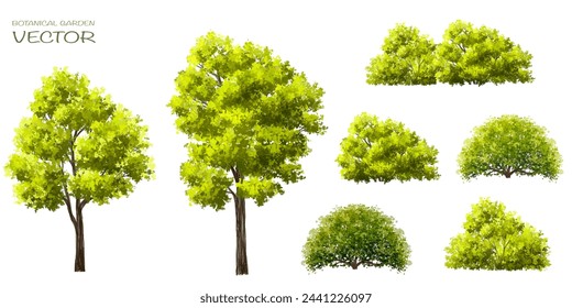 Vector watercolor green tree or forest side view isolated on white background for landscape and architecture drawing,elements for environment or garden,botanical element for exterior section in spring