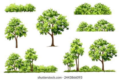 Vector watercolor green tree or forest side view isolated on white background for landscape and architecture drawing,elements for environment or garden,botanical element for exterior section in spring
