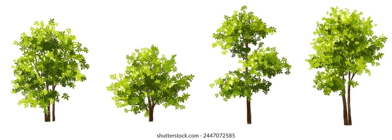 Vector watercolor green tree or forest side view isolated on white background for landscape and architecture drawing,elements for environment or garden,botanical element for exterior section in spring