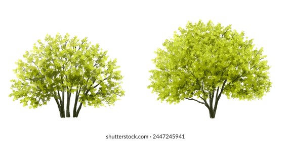 Vector watercolor green tree or forest side view isolated on white background for landscape and architecture drawing,elements for environment or garden,botanical element for exterior section in spring