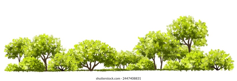 Vector acuarela verde árbol o vista lateral del bosque aislado en fondo blanco para el dibujo del paisaje y de la arquitectura, Elementos para el medio ambiente o el jardín, elemento botánico para la sección exterior en primavera