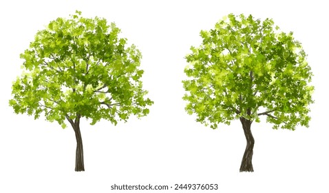 Vector watercolor green tree or forest side view isolated on white background for landscape and architecture drawing,elements for environment or garden,botanical element for exterior section in spring
