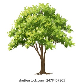 Vector acuarela verde árbol o vista lateral del bosque aislado en fondo blanco para el dibujo del paisaje y de la arquitectura, Elementos para el medio ambiente o el jardín, elemento botánico para la sección exterior en primavera