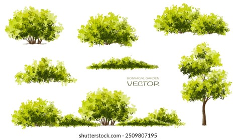  Vista lateral verde del árbol o del bosque de la acuarela del Vector aislada en el fondo blanco para el dibujo del paisaje y de la arquitectura, Elementos para el ambiente o y el jardín, arbusto para la sección