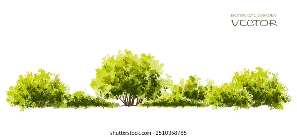 Vector watercolor green tree or forest side view isolated on white background for landscape and architecture drawing,elements for environment or and garden,Shrub for section