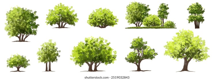  Vetor aquarela verde árvore ou vista lateral da floresta isolado no fundo branco para desenho de paisagem e arquitetura, elementos para o ambiente ou e jardim, Arbusto para seção