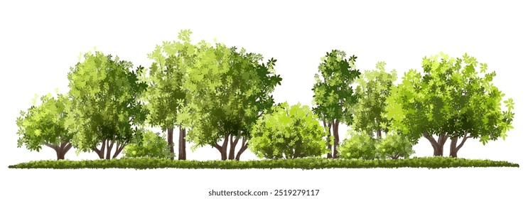  Vektor Aquarell grün Baum oder Wald Seitenansicht einzeln auf weißem Hintergrund für Landschaft und Architektur Zeichnung, Elemente für Umwelt oder und Garten, Strauch für Schnitt