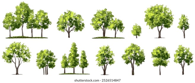  Vector watercolor green  tree or forest side view isolated on white background for landscape and architecture drawing,elements for environment or and garden,Shrub for section