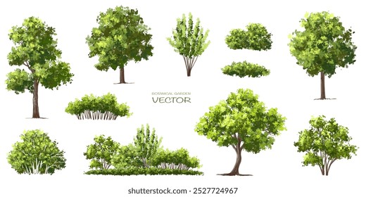  Vetor aquarela verde árvore ou vista lateral da floresta isolado no fundo branco para desenho de paisagem e arquitetura, elementos para o ambiente ou e jardim, Arbusto para seção