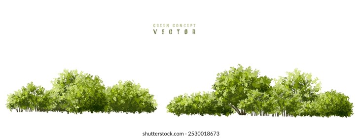  Vector watercolor green  tree or forest side view isolated on white background for landscape and architecture drawing,elements for environment or and garden,Shrub for section