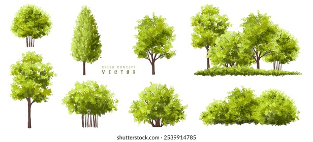  Vector watercolor green  tree or forest side view isolated on white background for landscape and architecture drawing,elements for environment or and garden,Shrub for section