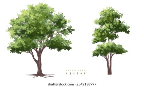  Vista lateral verde del árbol o del bosque de la acuarela del Vector aislada en el fondo blanco para el dibujo del paisaje y de la arquitectura, Elementos para el ambiente o y el jardín, arbusto para la sección