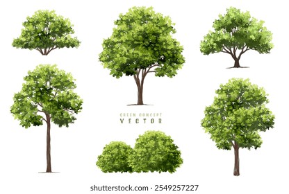  Vista lateral verde del árbol o del bosque de la acuarela del Vector aislada en el fondo blanco para el dibujo del paisaje y de la arquitectura, Elementos para el ambiente o y el jardín, arbusto para la sección