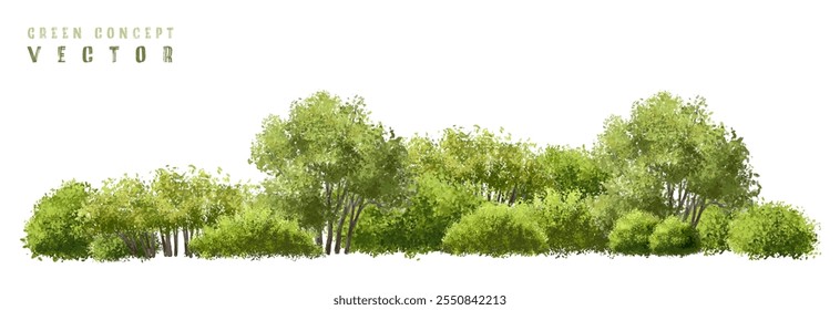 Vector watercolor green  tree or forest side view isolated on white background for landscape and architecture drawing,elements for environment or and garden,Shrub for section