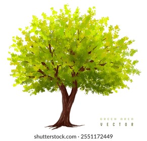  Vector watercolor green  tree or forest side view isolated on white background for landscape and architecture drawing,elements for environment or and garden,Shrub for section
