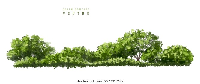  Vector watercolor green  tree or forest side view isolated on white background for landscape and architecture drawing,elements for environment or and garden,Shrub for section