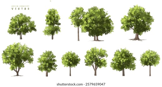  Vector watercolor green  tree or forest side view isolated on white background for landscape and architecture drawing,elements for environment or and garden,Shrub for section