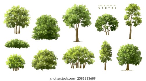  Vector watercolor green  tree or forest side view isolated on white background for landscape and architecture drawing,elements for environment or and garden,Shrub for section