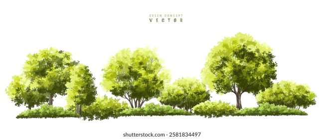  Vector watercolor green  tree or forest side view isolated on white background for landscape and architecture drawing,elements for environment or and garden,Shrub for section