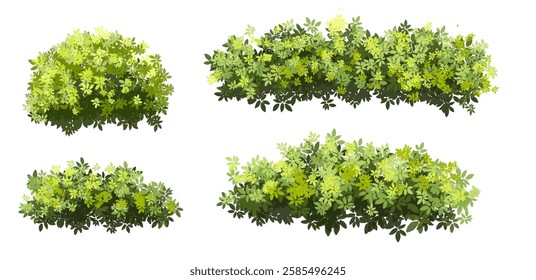 Vector watercolor green  tree or forest side view isolated on white background for landscape and architecture drawing,elements for environment or and garden,Shrub for section
