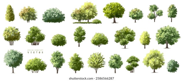  Vector watercolor green  tree or forest side view isolated on white background for landscape and architecture drawing,elements for environment or and garden,Shrub for section