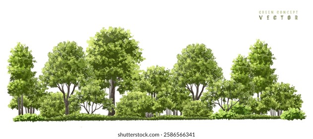  Vector watercolor green  tree or forest side view isolated on white background for landscape and architecture drawing,elements for environment or and garden,Shrub for section