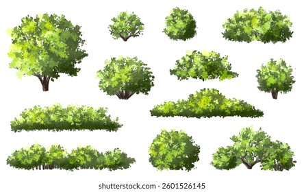  Vector watercolor green  tree or forest side view isolated on white background for landscape and architecture drawing,elements for environment or and garden,Shrub for section