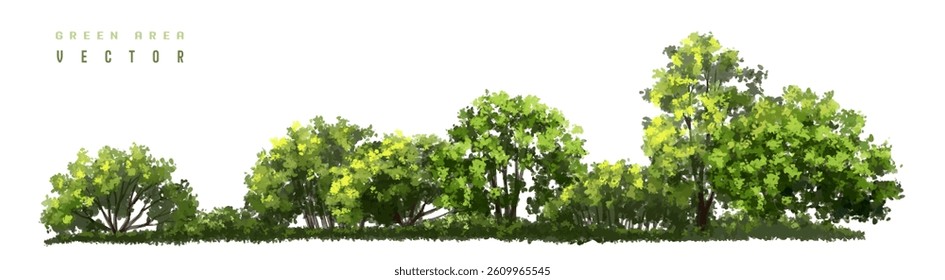  Vector watercolor green  tree or forest side view isolated on white background for landscape and architecture drawing,elements for environment or and garden,Shrub for section