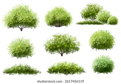  Vector watercolor green  tree or forest side view isolated on white background for landscape and architecture drawing,elements for environment or and garden,Shrub for section