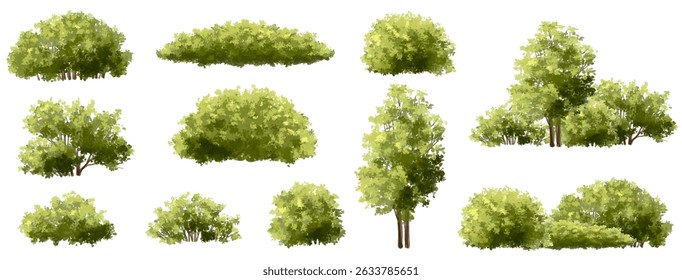  Vetor aquarela verde árvore ou vista lateral da floresta isolado no fundo branco para desenho de paisagem e arquitetura, elementos para o ambiente ou e jardim, Arbusto para seção