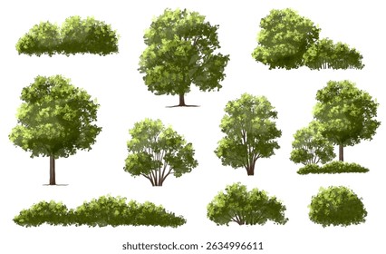  Vector watercolor green  tree or forest side view isolated on white background for landscape and architecture drawing,elements for environment or and garden,Shrub for section