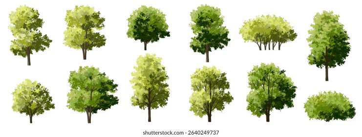  Vector watercolor green  tree or forest side view isolated on white background for landscape and architecture drawing,elements for environment or and garden,Shrub for section