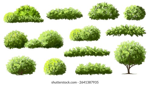  Vector watercolor green  tree or forest side view isolated on white background for landscape and architecture drawing,elements for environment or and garden,Shrub for section