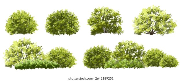  Vector watercolor green  tree or forest side view isolated on white background for landscape and architecture drawing,elements for environment or and garden,Shrub for section