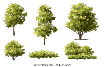  Vector watercolor green  tree or forest side view isolated on white background for landscape and architecture drawing,elements for environment or and garden,Shrub for section