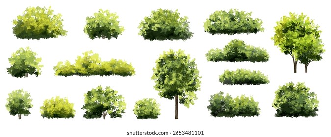  Vector watercolor green  tree or forest side view isolated on white background for landscape and architecture drawing,elements for environment or and garden,Shrub for section