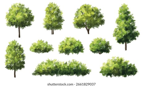  Vetor aquarela verde árvore ou vista lateral da floresta isolado no fundo branco para desenho de paisagem e arquitetura, elementos para o ambiente ou e jardim, Arbusto para seção