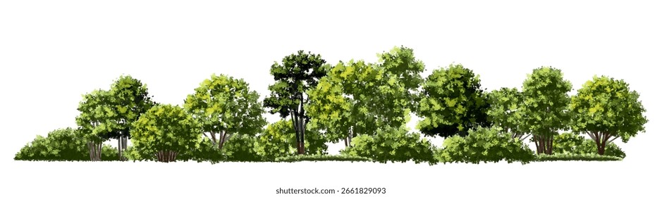  Vista lateral verde del árbol o del bosque de la acuarela del Vector aislada en el fondo blanco para el dibujo del paisaje y de la arquitectura, Elementos para el ambiente o y el jardín, arbusto para la sección