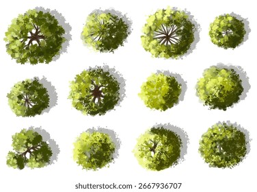 Vektor Aquarell grün Baum oder Wald Draufsicht einzeln auf weißem Hintergrund für Landschaftsplan und Architekturzeichnung, Pflanze für Umwelt oder Garten, botanisches Element für Außenlayout