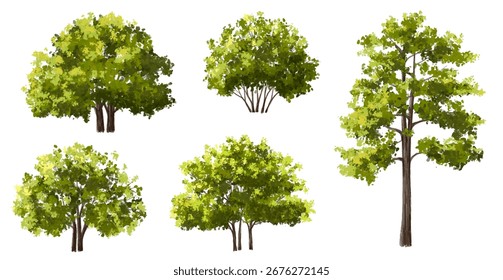 Vektor Aquarell grün Baum oder Wald Seitenansicht einzeln auf weißem Hintergrund für Landschaft und Architektur Zeichnung, Elemente für Umwelt oder und Garten, Strauch für Schnitt