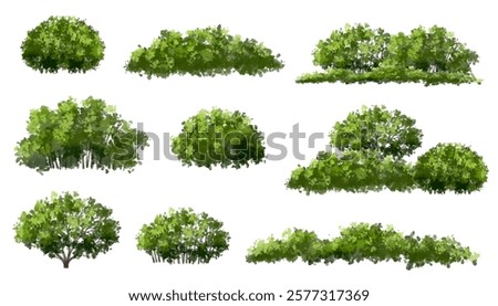  Vector watercolor green  tree or forest side view isolated on white background for landscape and architecture drawing,elements for environment or and garden,Shrub for section