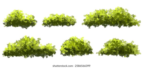  Vector watercolor green  tree or meadow side view isolated on white background for landscape and architecture drawing,elements for environment or and garden,Shrub for section