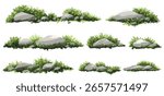Vector watercolor green tree with rock or forest side view isolated on white background for landscape and architecture drawing,elements for environment or and garden,Shrub for section