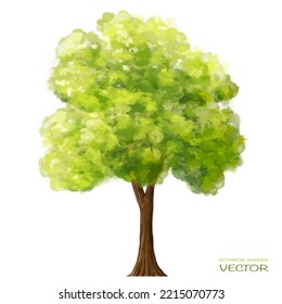 Vector Watercolor Of Green Tree Side View Isolated On White Background For Landscape  And Architecture Drawing, Elements For Environment And Garden, Painting Botanical For Section And Elevation