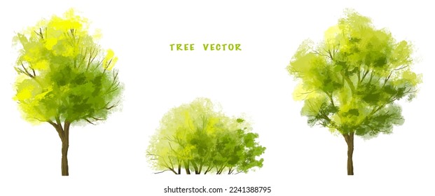 Vector watercolor green tree side view isolated on white background for landscape and architecture drawing, elements for environment and garden,botanical elements for section in spring
