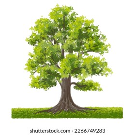 Vector watercolor of green tree side view isolated on white background for landscape  and architecture drawing, elements for environment and garden, painting botanical for section and elevation 